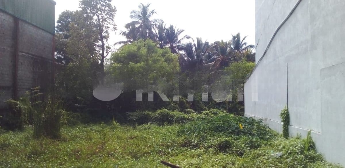 Paliyagoda 40 Perches Land for sale