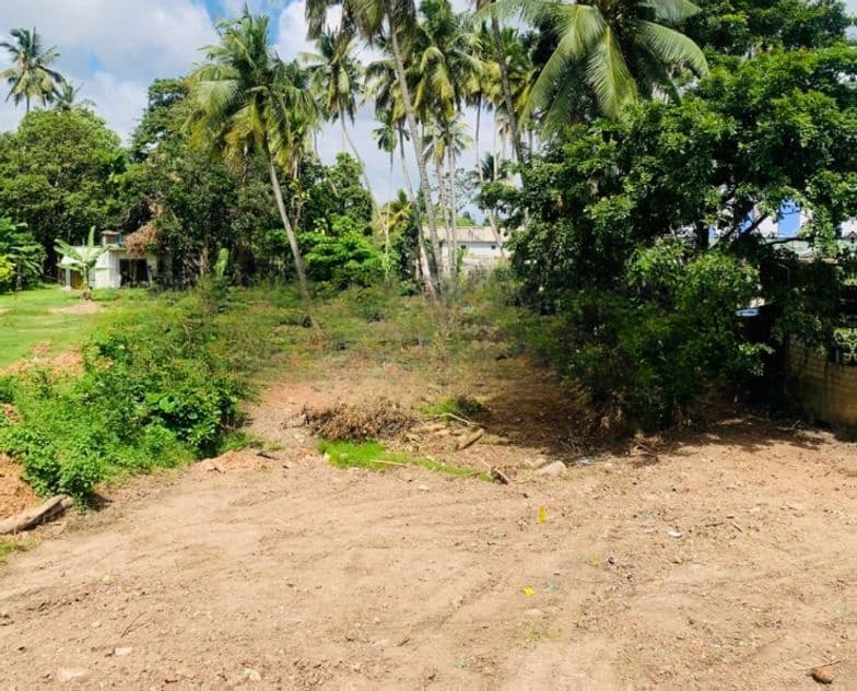 Land Sale in Kelaniya