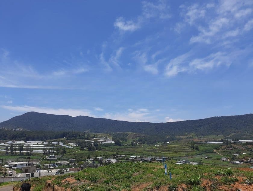 Land for Sale Nuwaraeliya