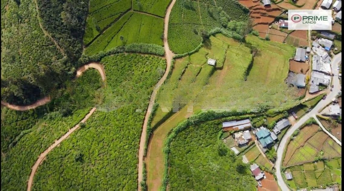 Land for Sale Nuwara Eliya Road