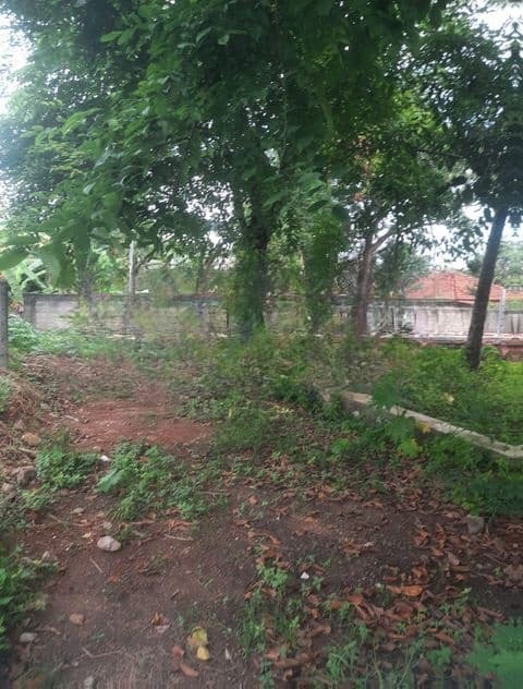 Land For Sale In Boralesgamuwa