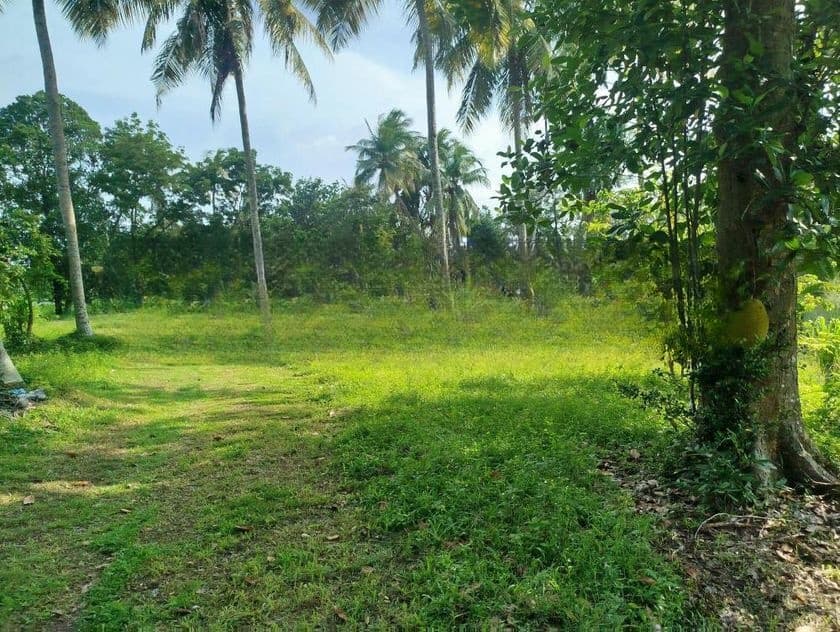බොල්ගොඩ වැවට මුහුනලා බිම් කොටස් විකිණීමට