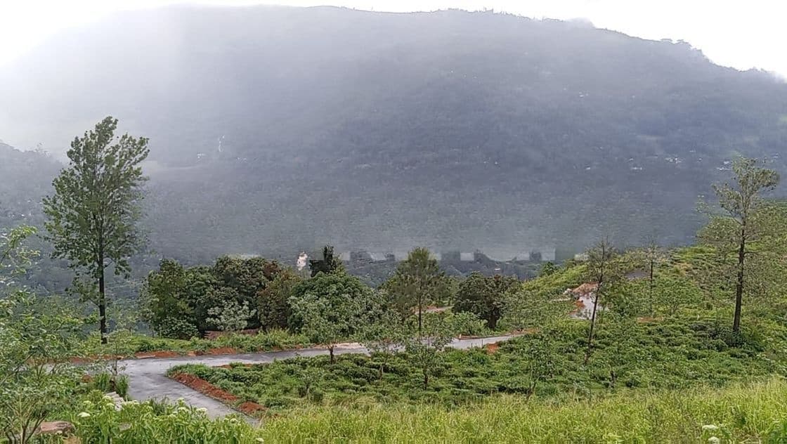 View point land for sale pundaluoya range