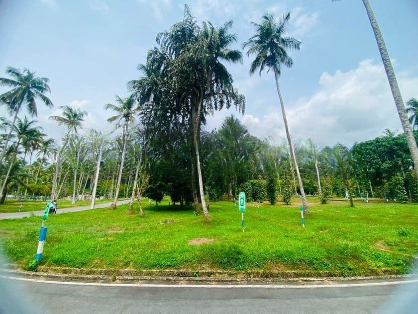 Land For Sale in Kandana
