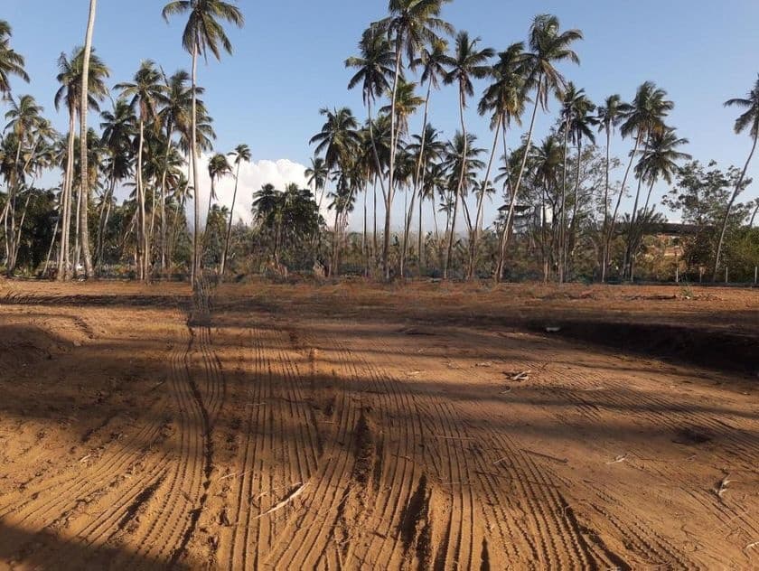 පැල්ලැන්දෙනියෙන් පදිංචියට ඉඩමක්