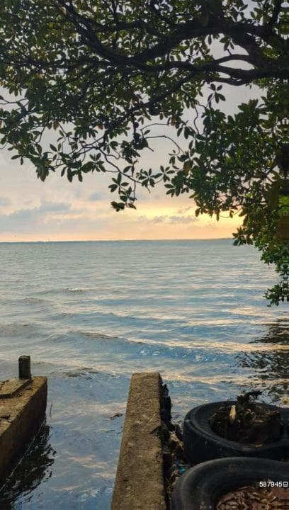 31 Perchers Lagoon Faceing Commercial/ Residential Land For Sale In Katunayaka. ( Faceing Negombo Lagoon )