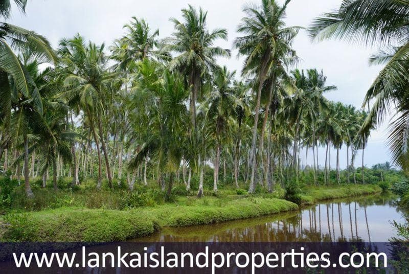 10.5 Acres of bare land ready for development - LIP 140