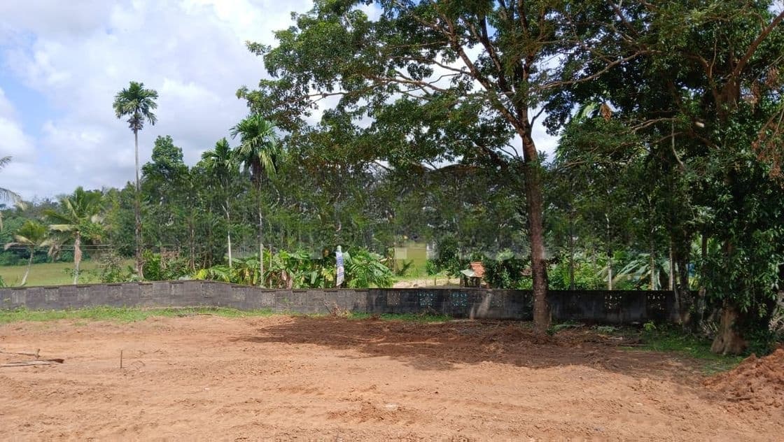 හෝමාගම නගරයේ අනාගතයට වටිනා ආයෝජනයක් අදම ඔබේ කරන්න