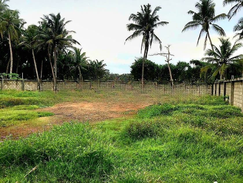 58P Beautiful Beach Facing Bare Land For Sale In Benthota