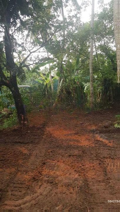 20P Land for Sale in Henawaththa Rd, Gonawala West, Kelaniya (SL 14125)