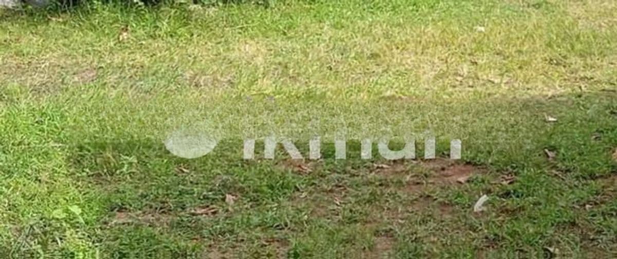 KANDY : 25 Acres Land for Sale in Galagedara