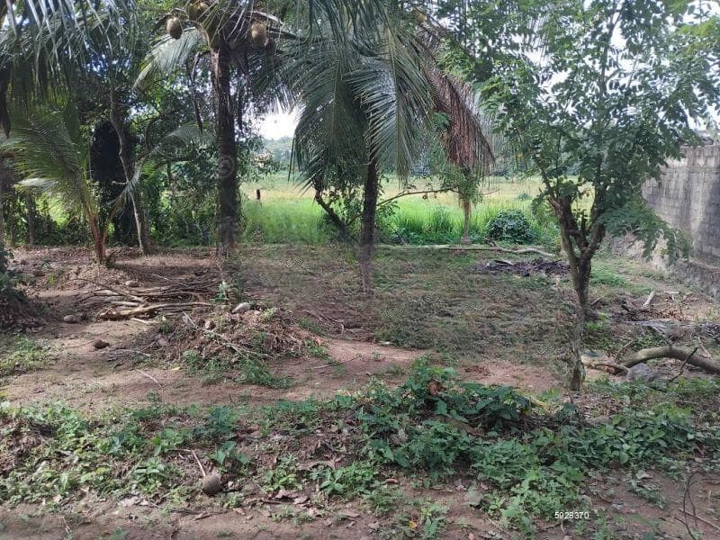 17-Perch Prime Residential Land for Sale in Malabe – Facing Rohana Wilathgamuwa Mawatha