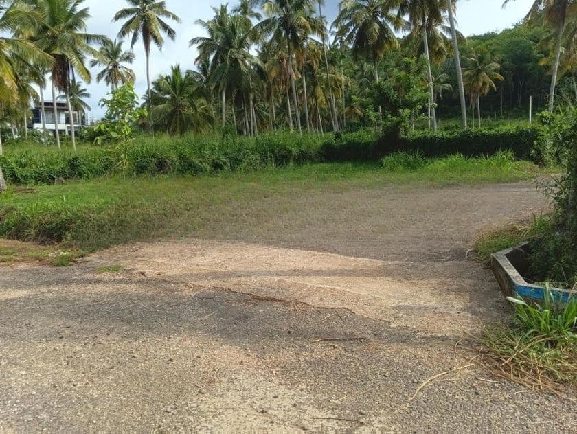 නාරම්මල ඉඩමක් විකිණීමට