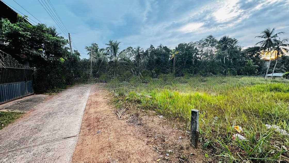 Kalagedihena Veyangoda Land For Sale