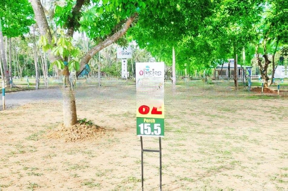 Developed Land for Sale in Pannala D04