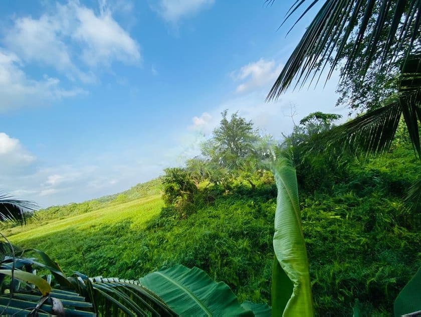 8.5P Superb Land Facing Paddy field Close to Tech Universities, Malabe