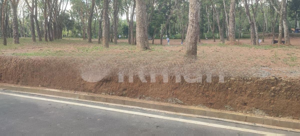 හෝමාගම තලගල ඉඩමක්