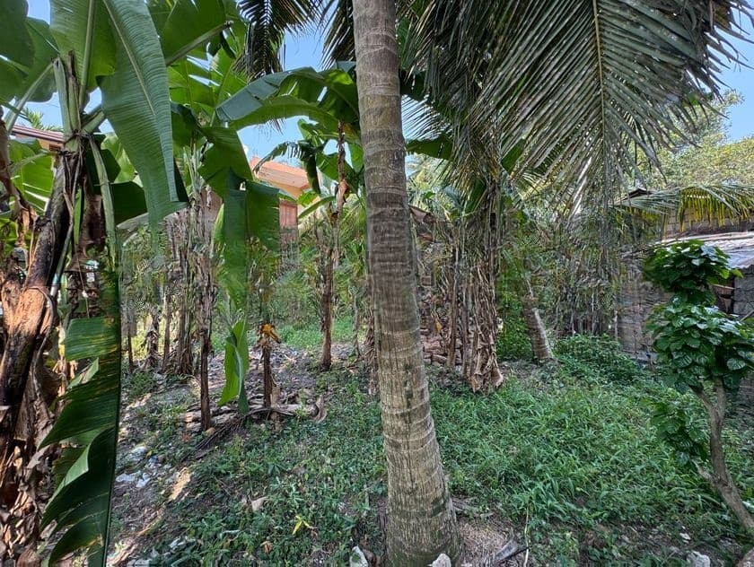 Near Colombo Road Land for Sale in Piliyandala Bokundara