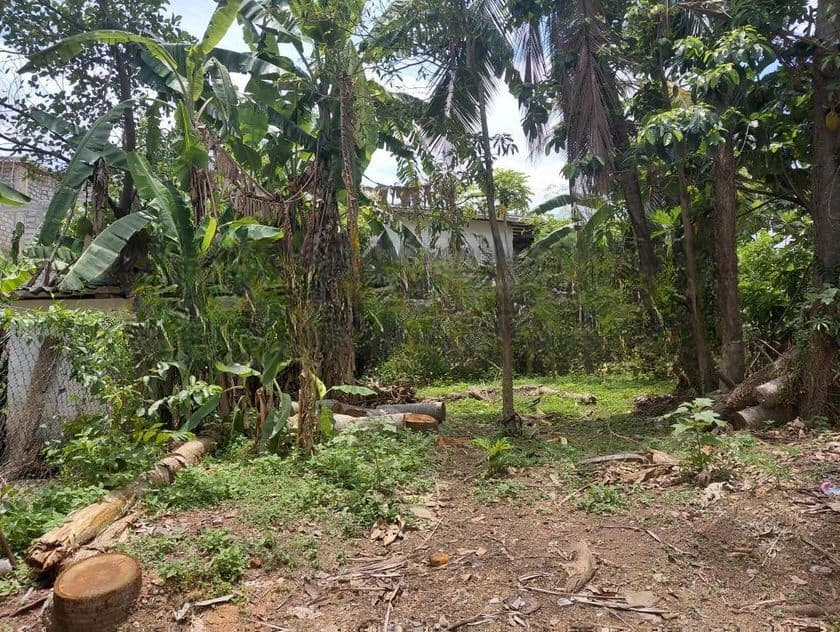 Super Land for Sale Boralesgamuwa