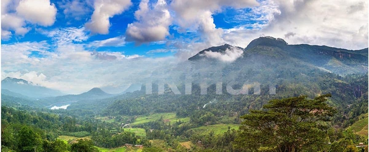New Land for Nuwara Eliya Road