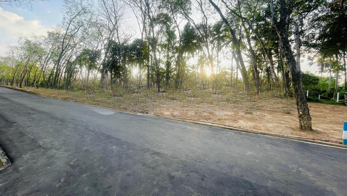 Homagama Thalagala Land Plot for Sale