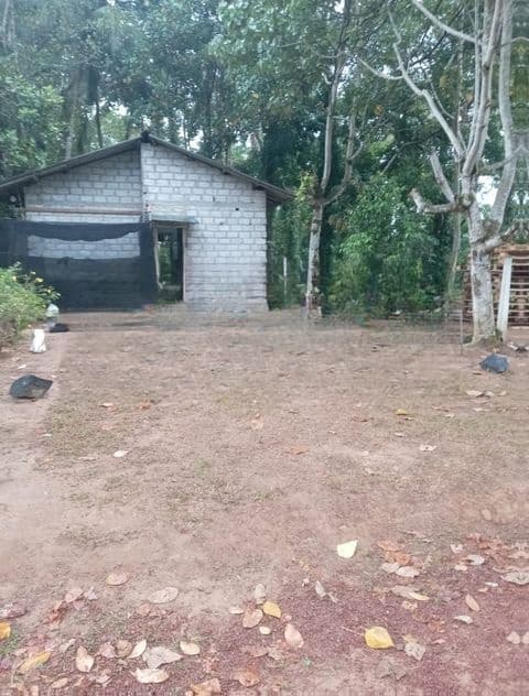Aththanagalla : 15 perches Land for Sale at Walpola