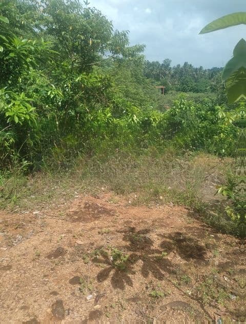 Prime Bare Land for Sale in Radawadunna, Pasyala