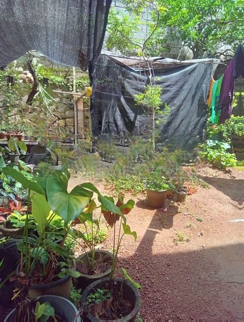 House for Sale in Galvihara Road Dehiwala