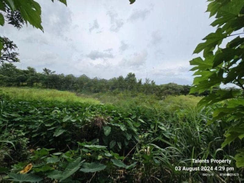 Land for Sale in Pore - Athurugiriya | 110 Perches - LKR 1.5 Million Per Perch | KO-692