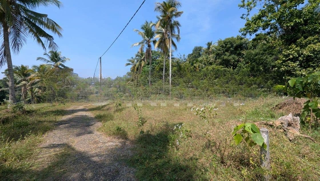 පදිංචියටත් සුපිරි ඉඩමක් කඹුරාගල්ල