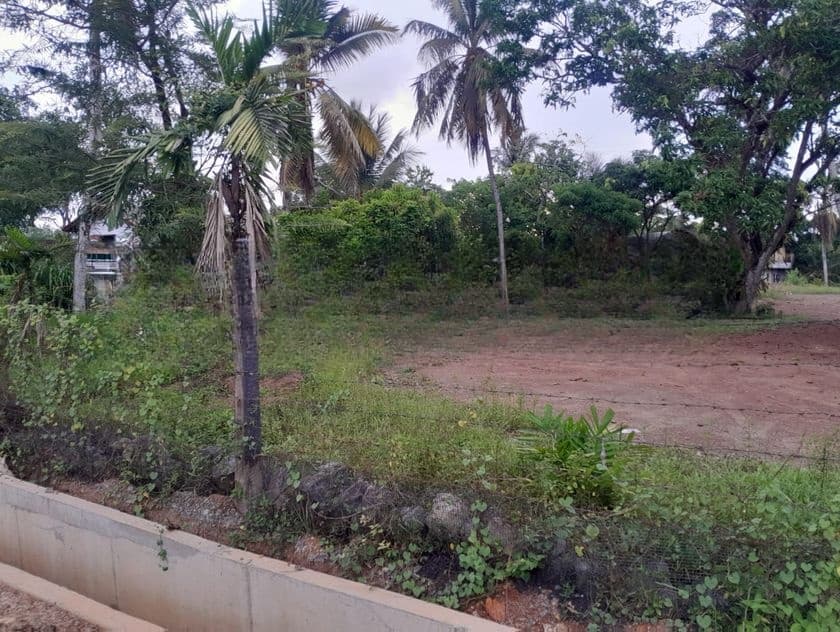 Commercial Land for Sale Piliyandala