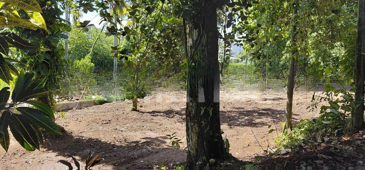 Kottawa Town Land for Sale
