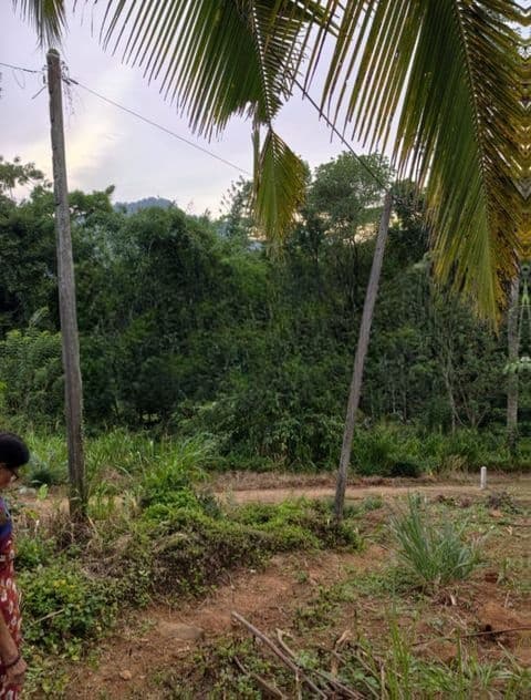 Land for Sale in Gampola