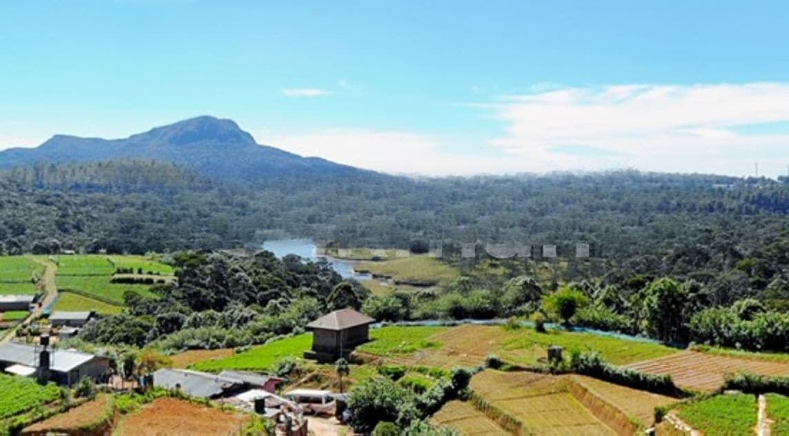 Land for Sale in Nuwara Eliya
