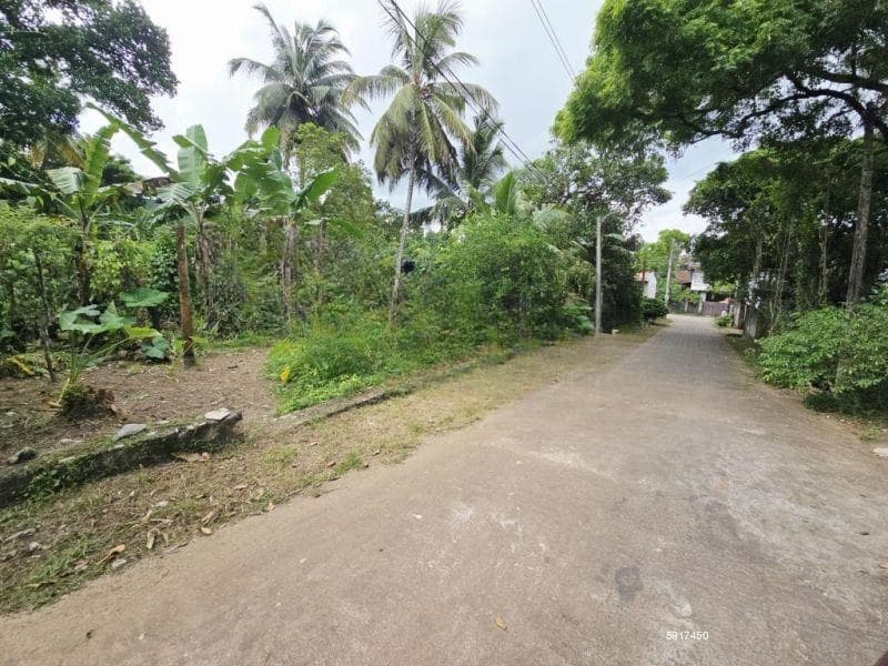 10P Bare Land For Sale In Thalawathugoda