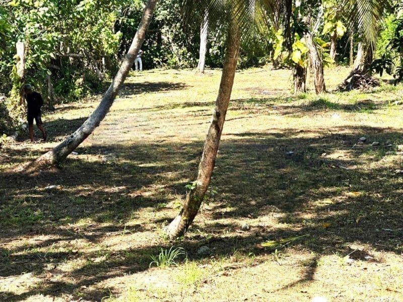 Coastal Investment Land for Sale in Mihiripenna near Unawatuna