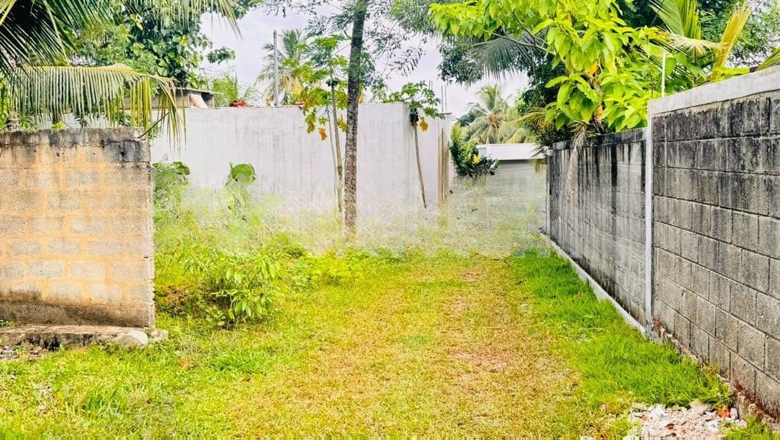 Kadawatha Ganemulla Road Valuable Land for Sale