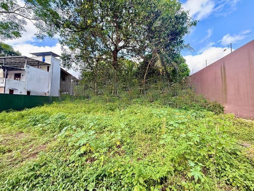 Land For Sale in Pelawatta