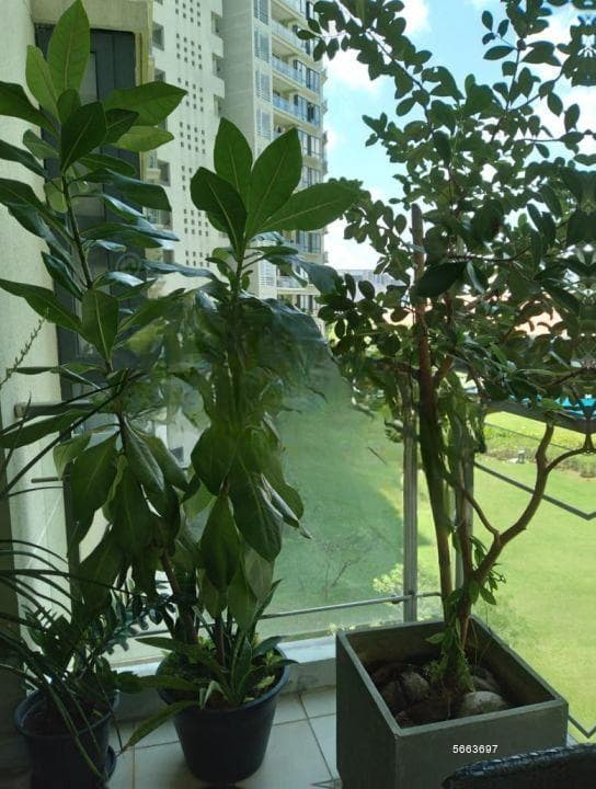 Havelock City - 3 BR Apartment for SALE| Rs. 120 Mil