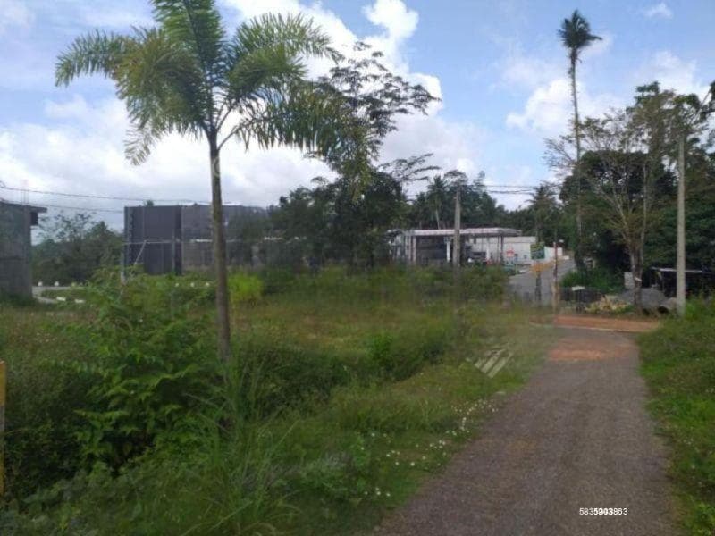Land for Sale in Beruketiya -Kottawa thalagala Road | 7 Perches | LKR Per Perch | KO-748
