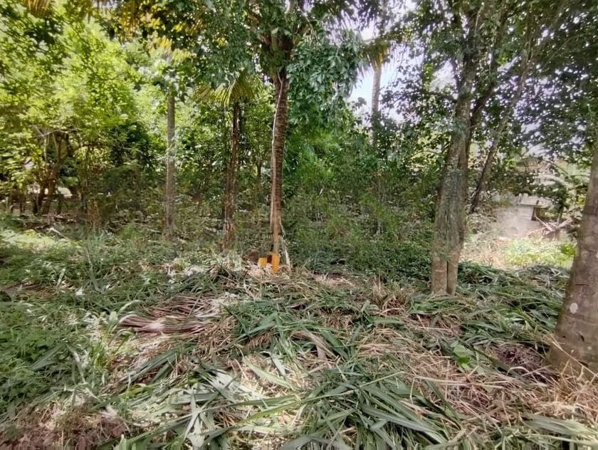 Land for Sale – Near Kurunegala
