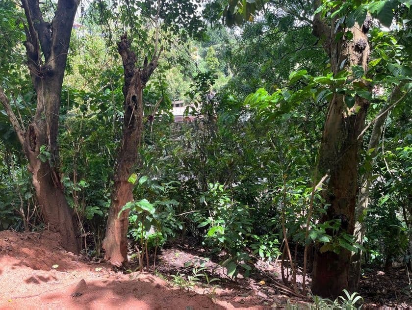 Land with Old House for Sale in Poornawatte Kandy