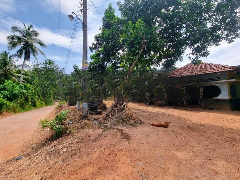 නිට්ටඹුවෙන් විශාල ඉඩමක් සහ නිවසක් විකිණීමට