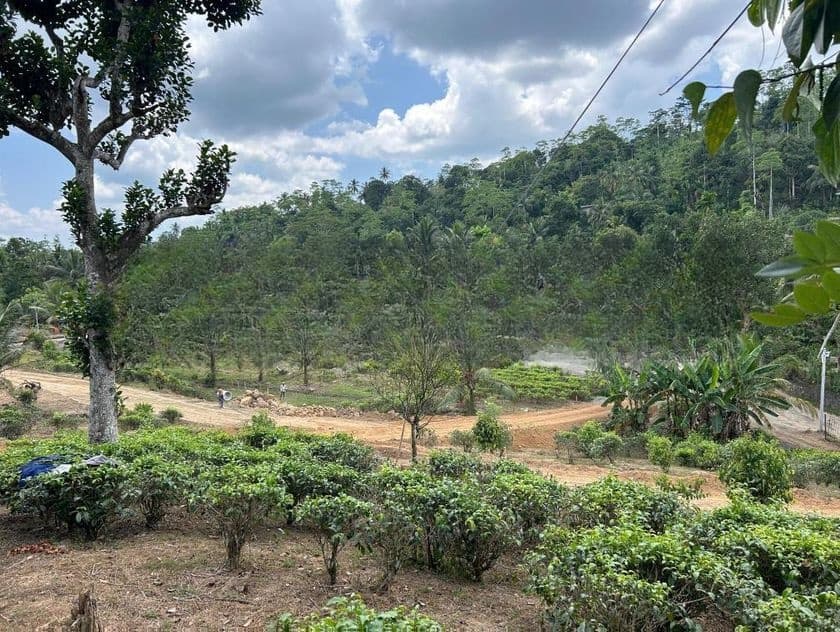 ගාල්ල උඩුගම ජයන්ති හන්දිය අසලින් බිම් කොටස්