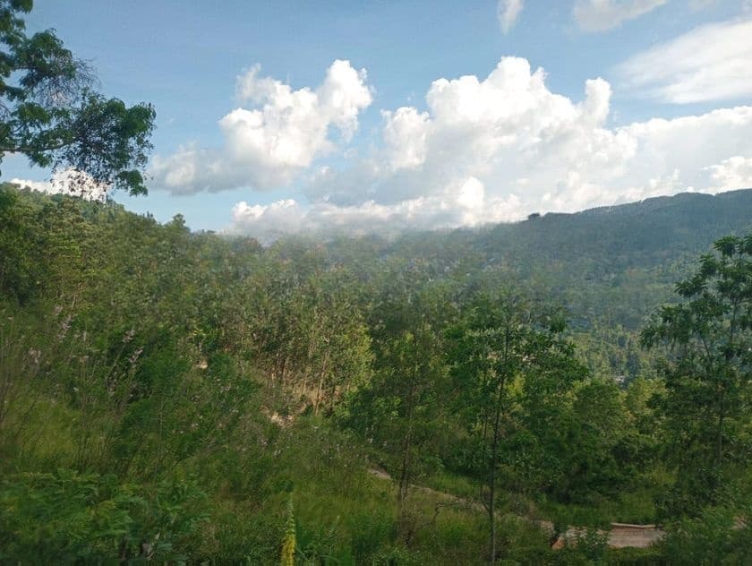 Land for Sale Nillamba