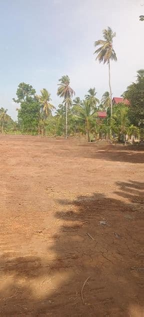 කුඹුරුකට මායිම්ව පිහිටි ඉඩමක් අනුරාධපුර