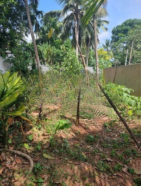 10 Perches Land For Sale in Mudungoda (SSPL-487)