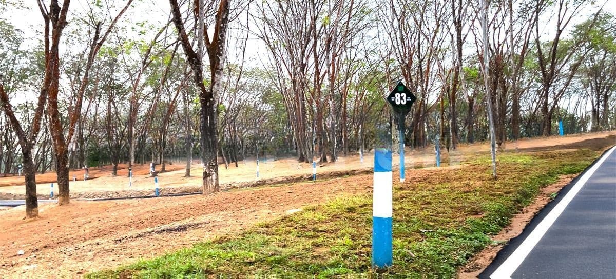 Meegoda Land for Sale