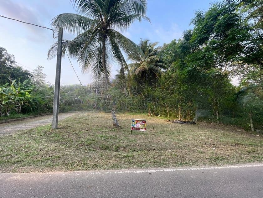 Land for Sale in Gampaha