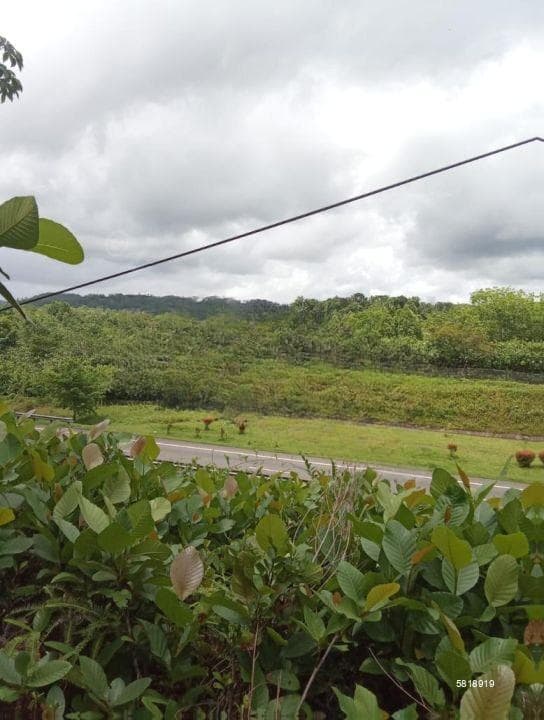 12+ Acre Land for Sale in Kuda Uragaha - 15 KM from Bentota – Elpitiya Road
